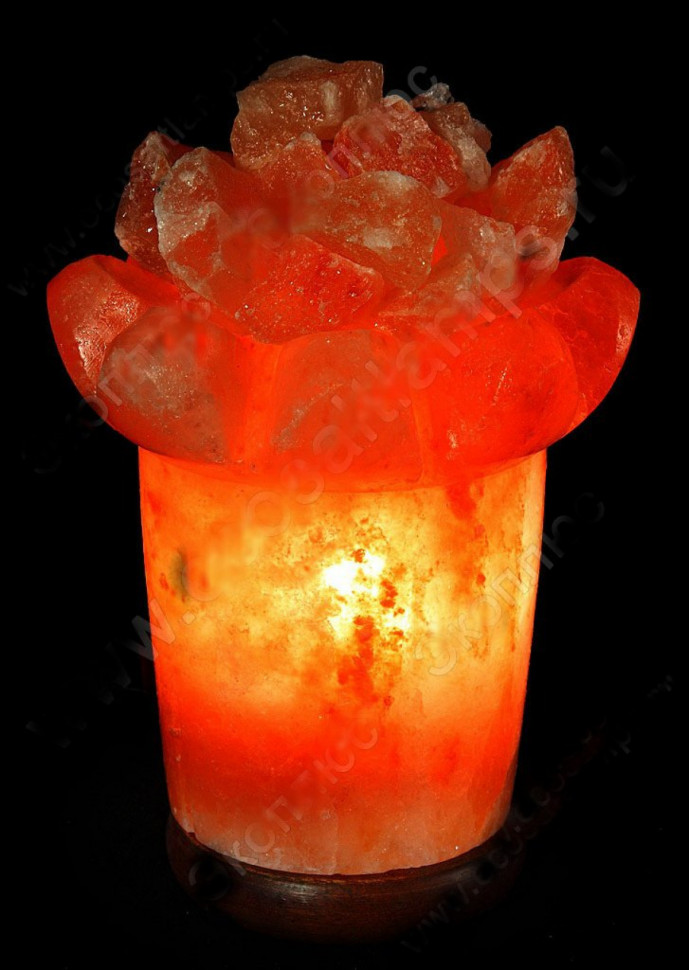 Солевая лампа КАМЕННЫЙ ЦВЕТОК 3-3,5 кг Солевая лампа КАМЕННЫЙ ЦВЕТОК 3-3,5 кг